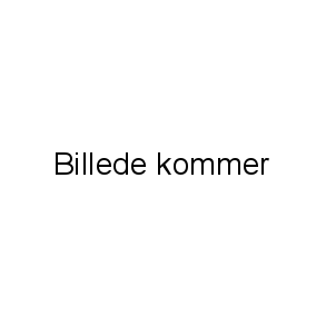 Bredemeijer